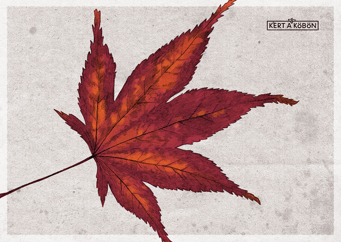 Momidzsigari – színes őszi levélvadászat élményséta
