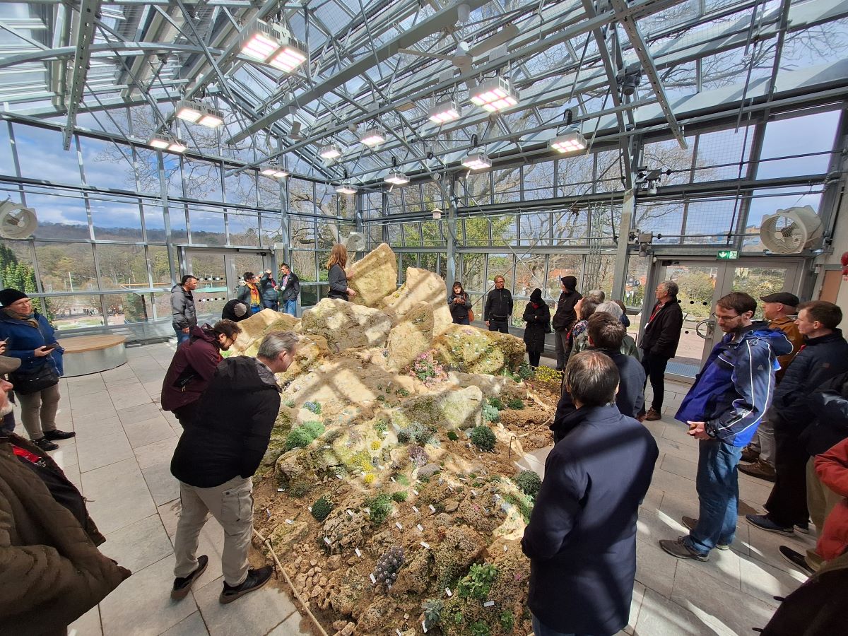 A Göteborgi Botanikus Kert egyik új attrakciója az alpesi növényeket bemutató speciális növényház.