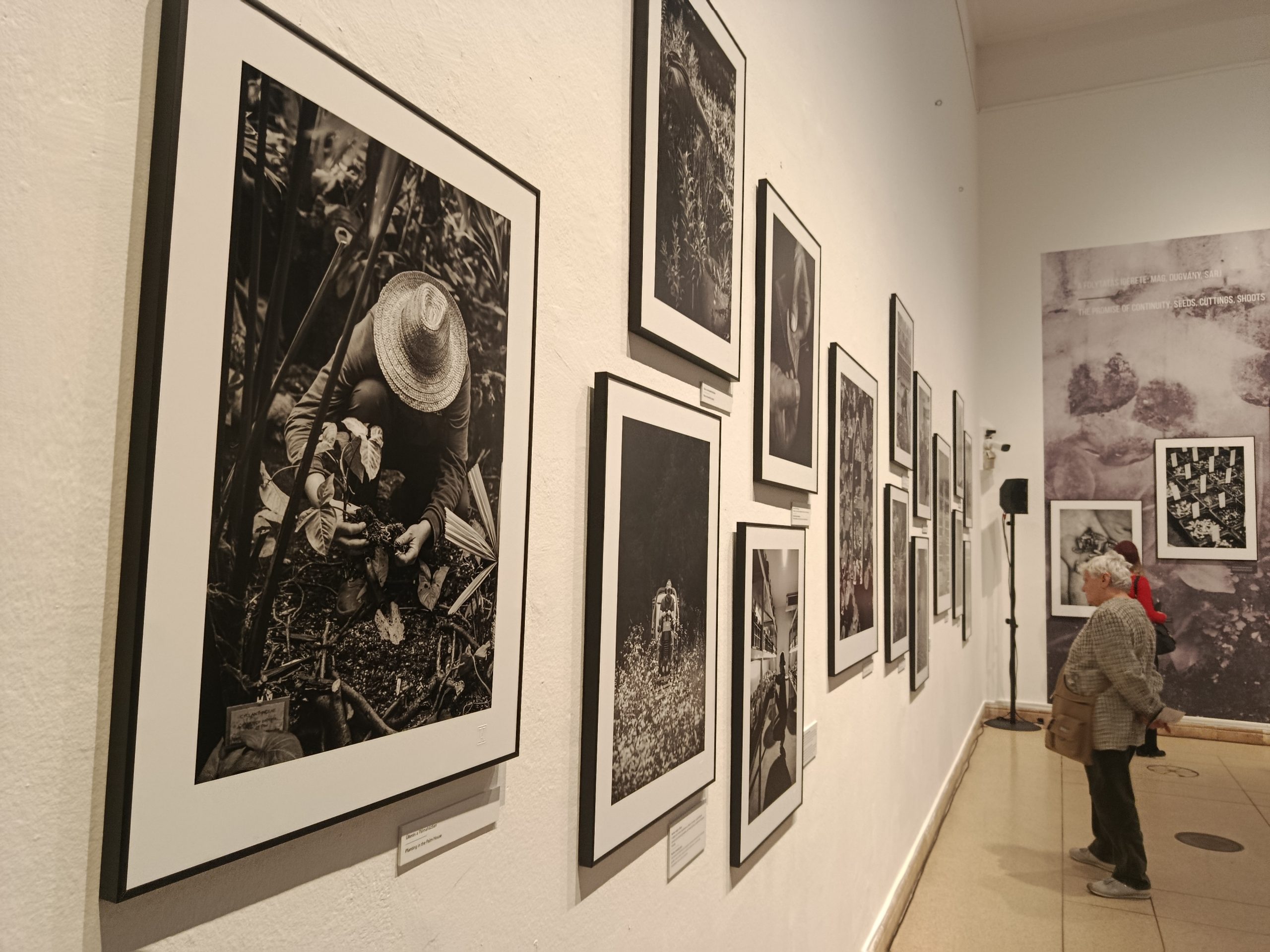 A kiállítás egyik fala